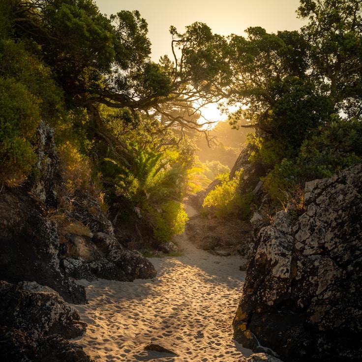 Nature travel hero image